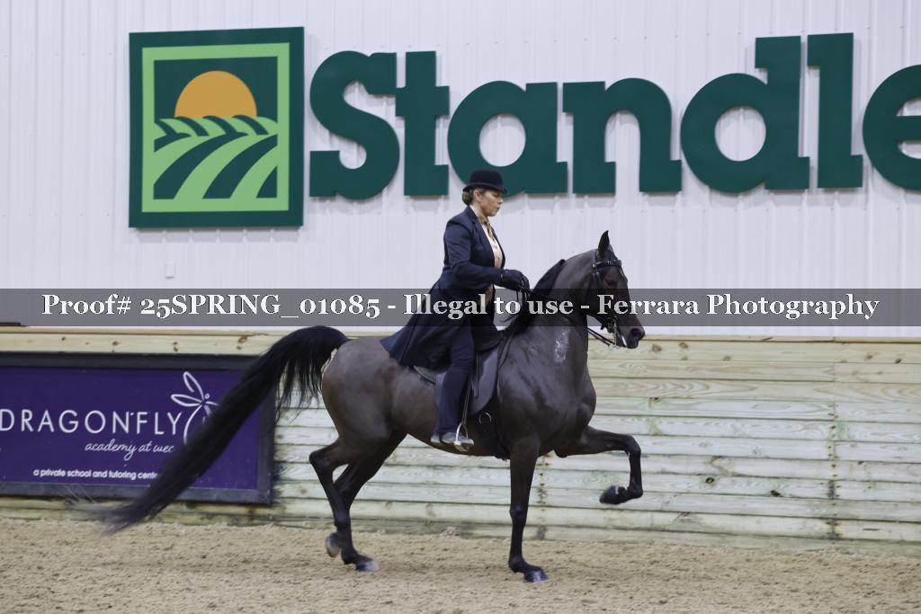 Proof 25SPRING_01085