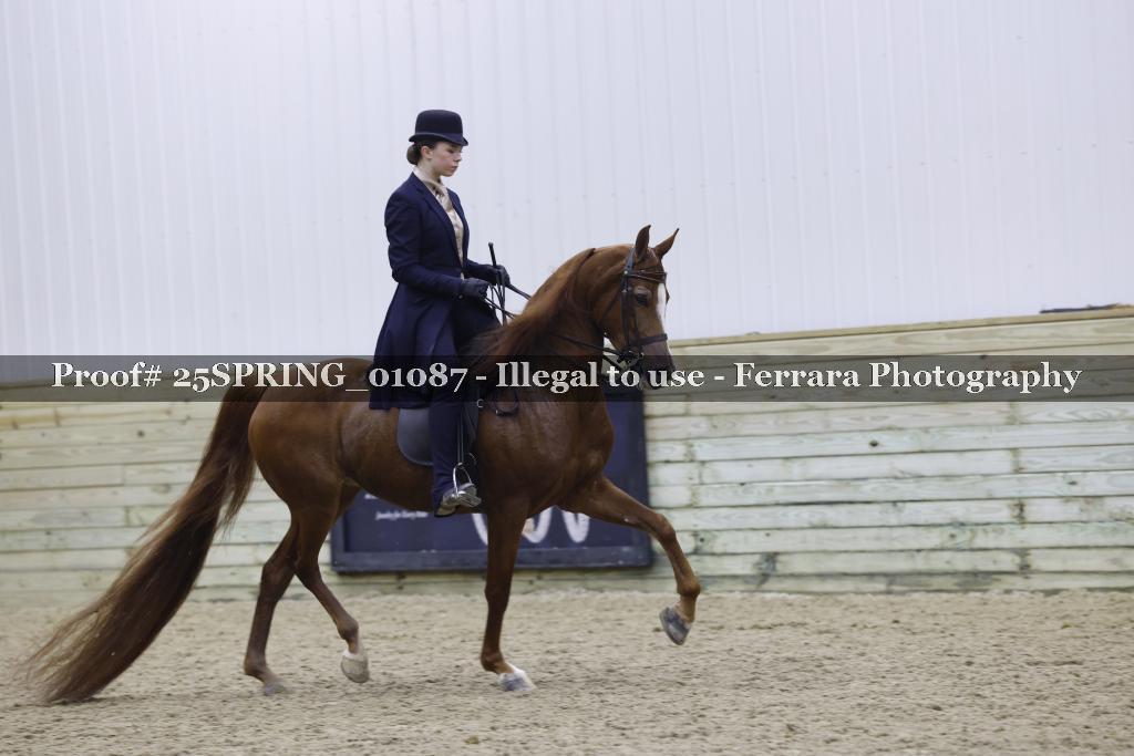 Proof 25SPRING_01087