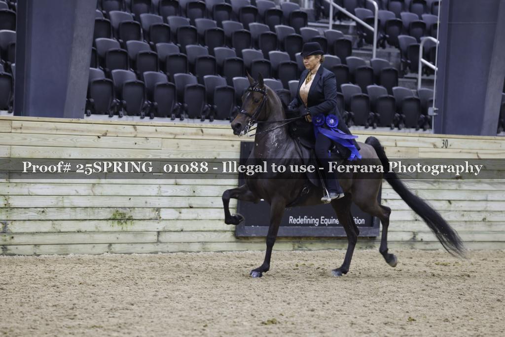 Proof 25SPRING_01088