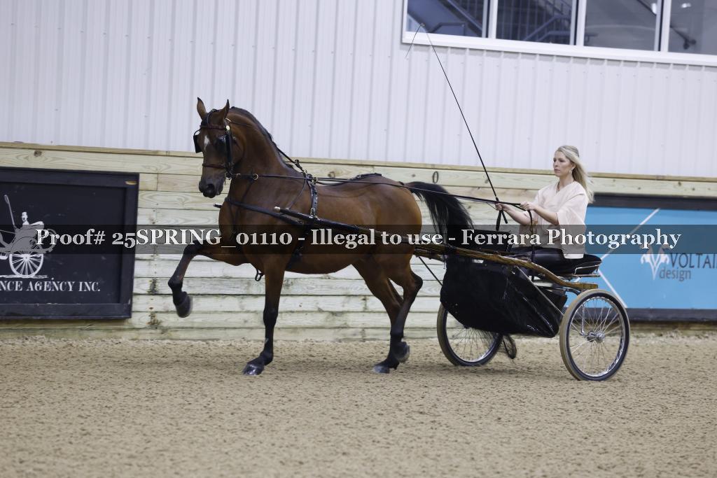 Proof 25SPRING_01110