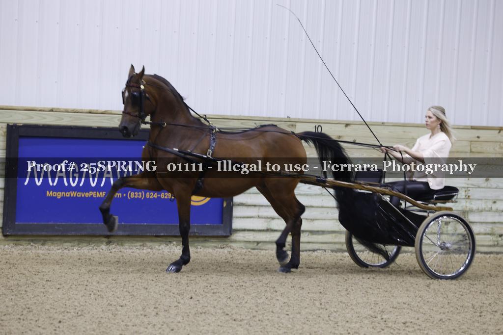 Proof 25SPRING_01111