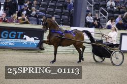 25SPRING_01113 proof