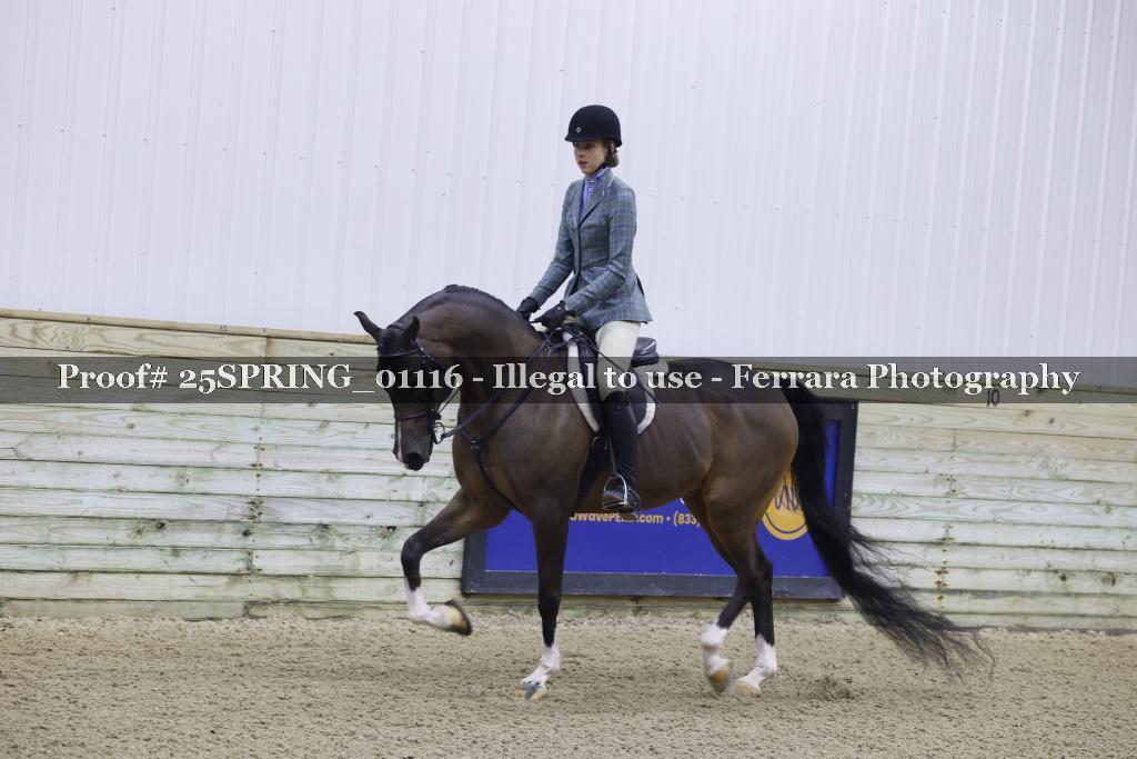 Proof 25SPRING_01116