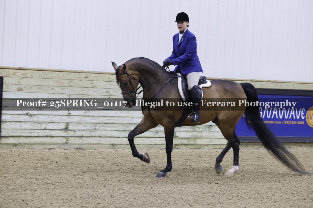 Proof 25SPRING_01117