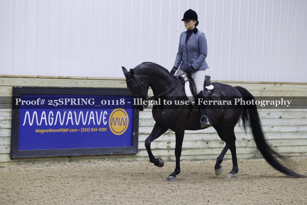 Proof 25SPRING_01118