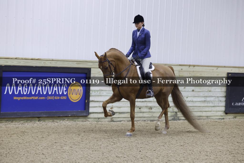 Proof 25SPRING_01119
