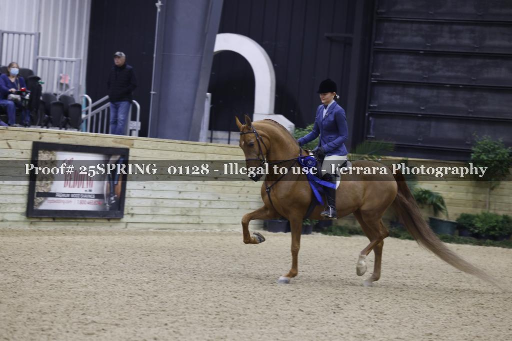 Proof 25SPRING_01128