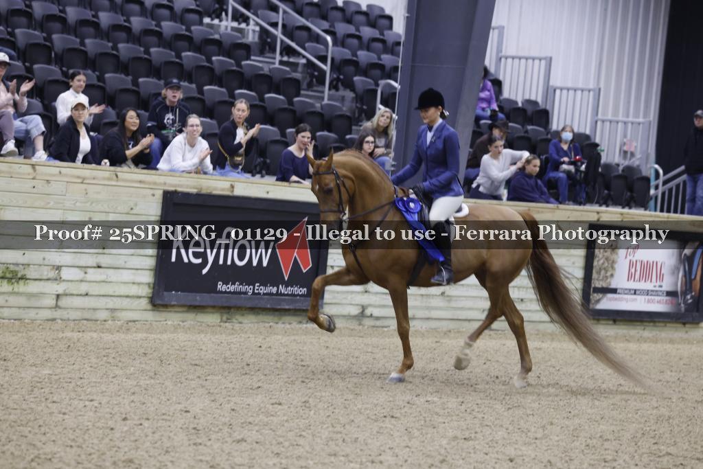 Proof 25SPRING_01129