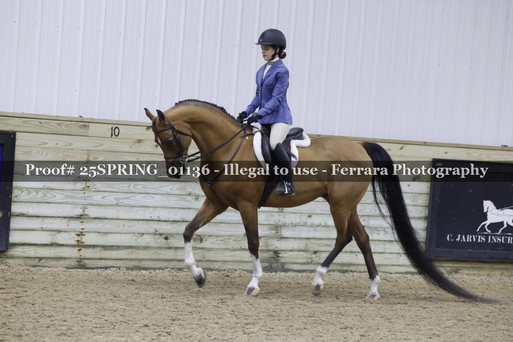 Proof 25SPRING_01136