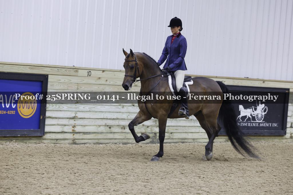 Proof 25SPRING_01141