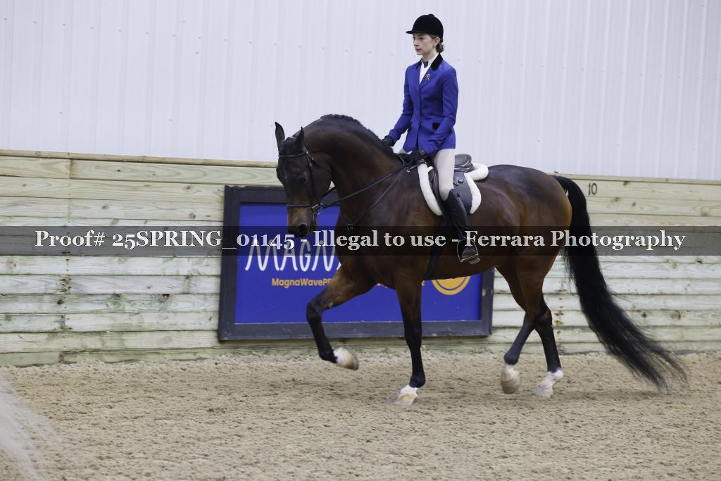 Proof 25SPRING_01145