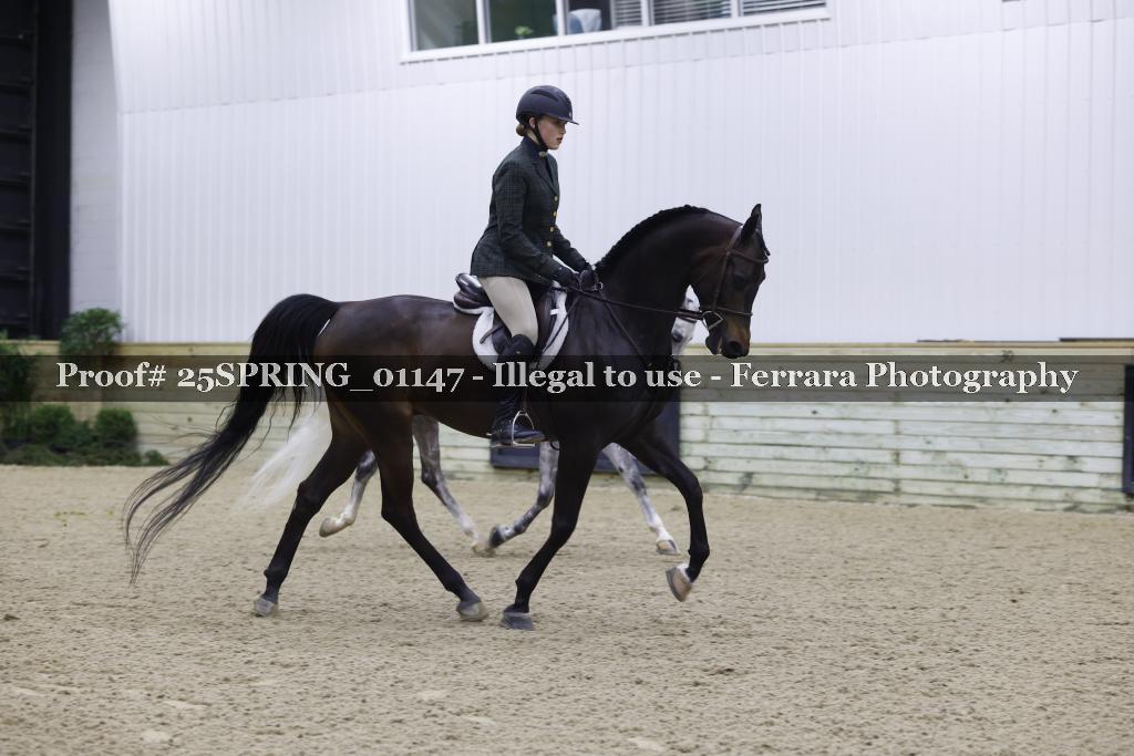 Proof 25SPRING_01147