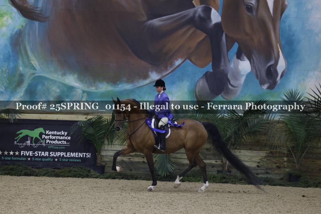 Proof 25SPRING_01154