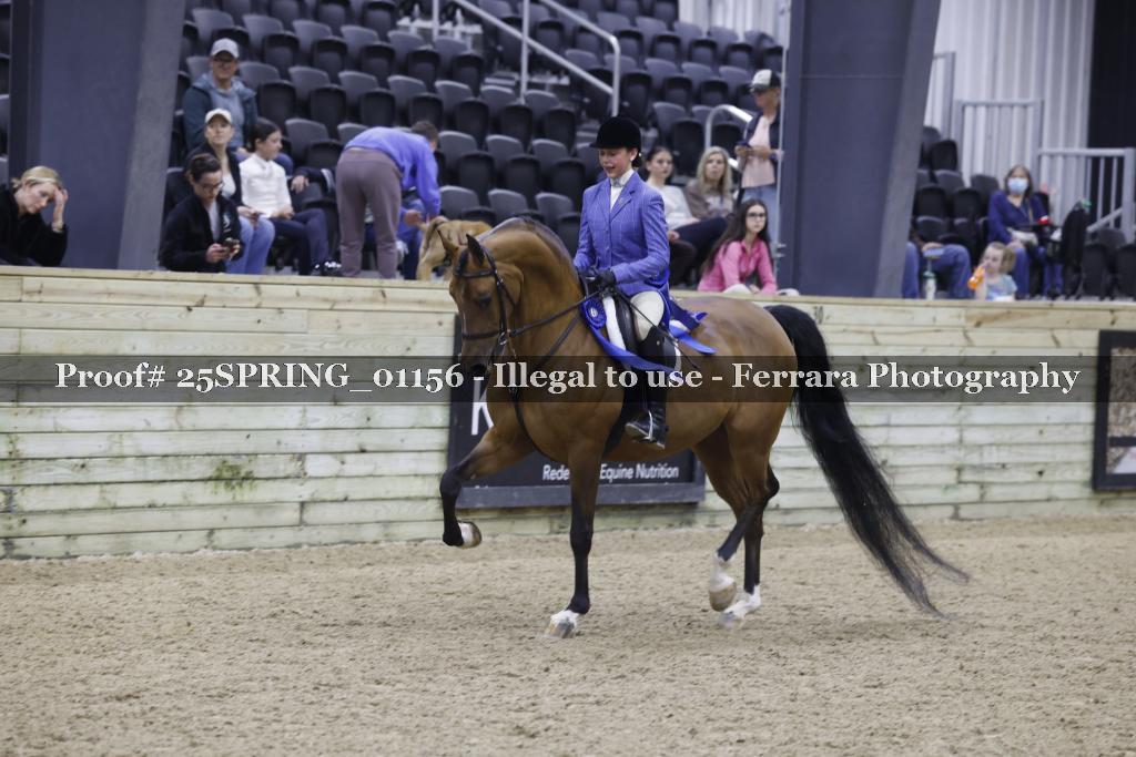 Proof 25SPRING_01156