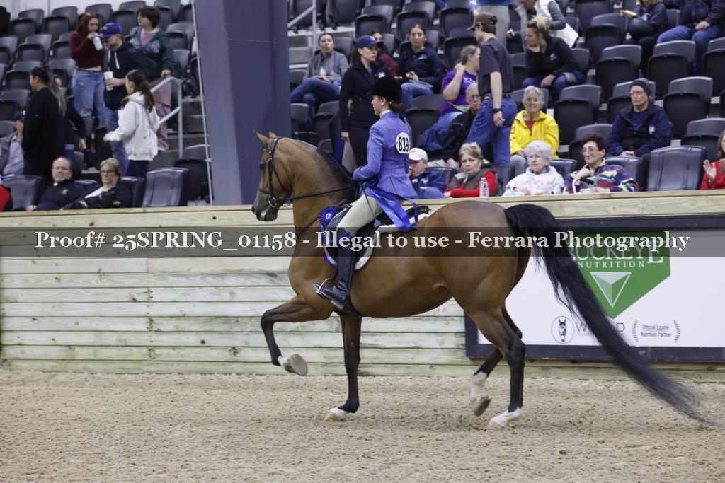 Proof 25SPRING_01158
