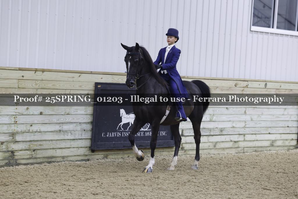 Proof 25SPRING_01203