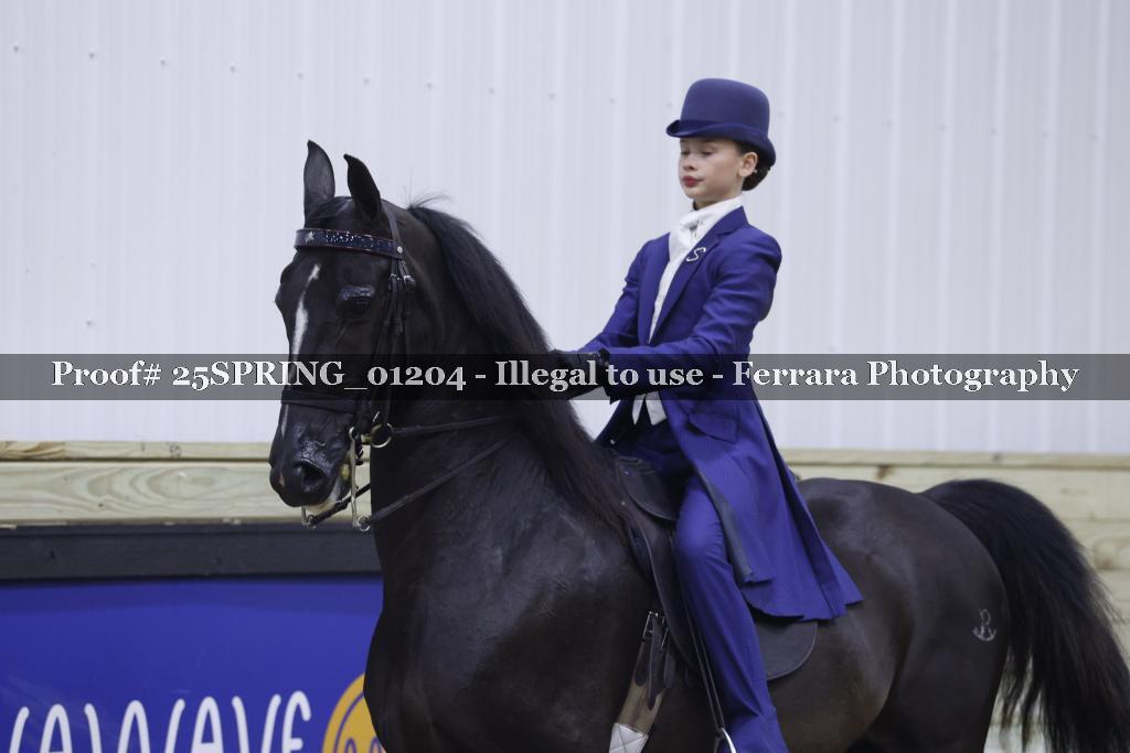 Proof 25SPRING_01204