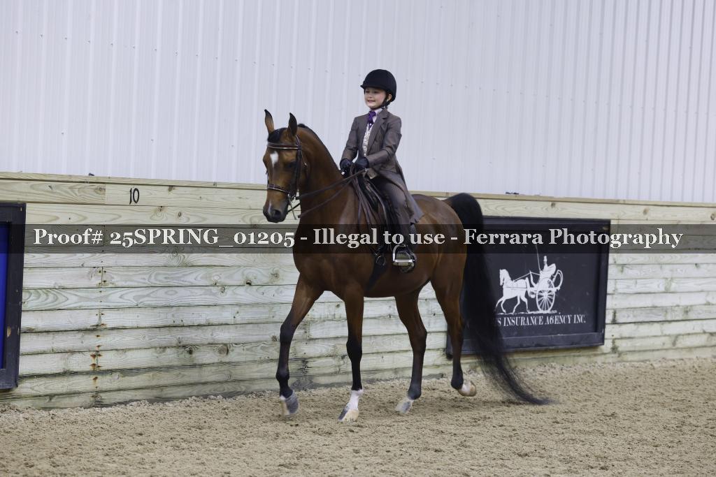 Proof 25SPRING_01205