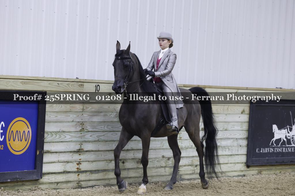 Proof 25SPRING_01208