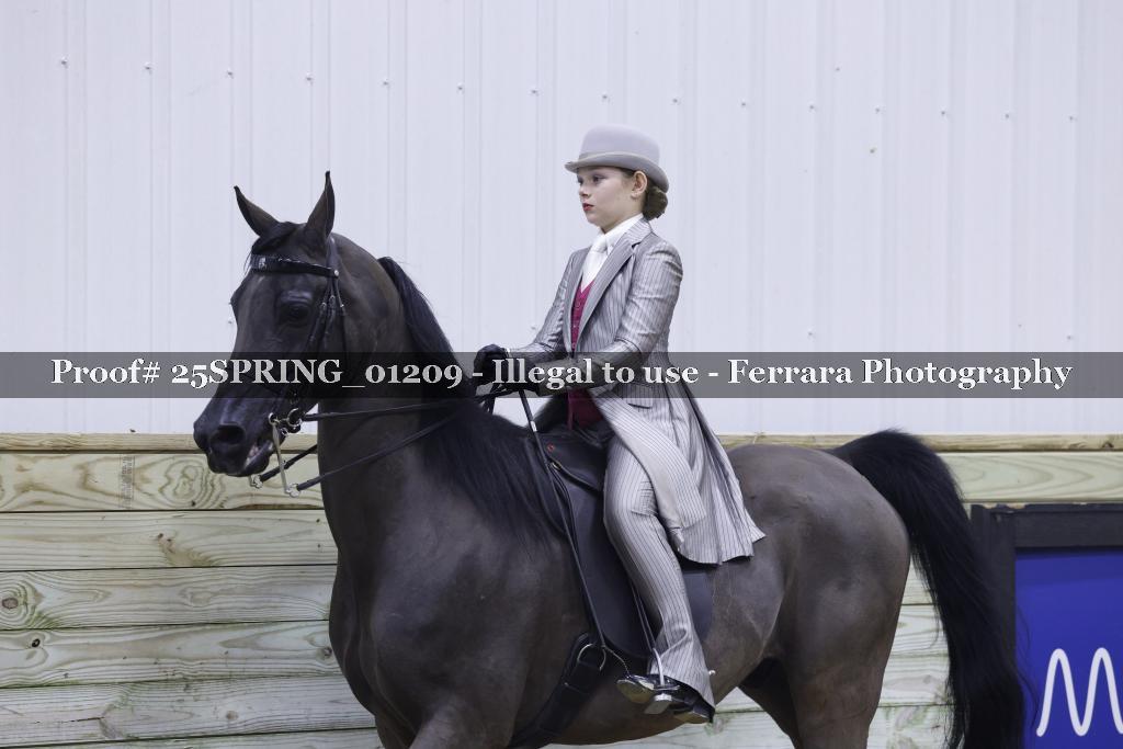 Proof 25SPRING_01209