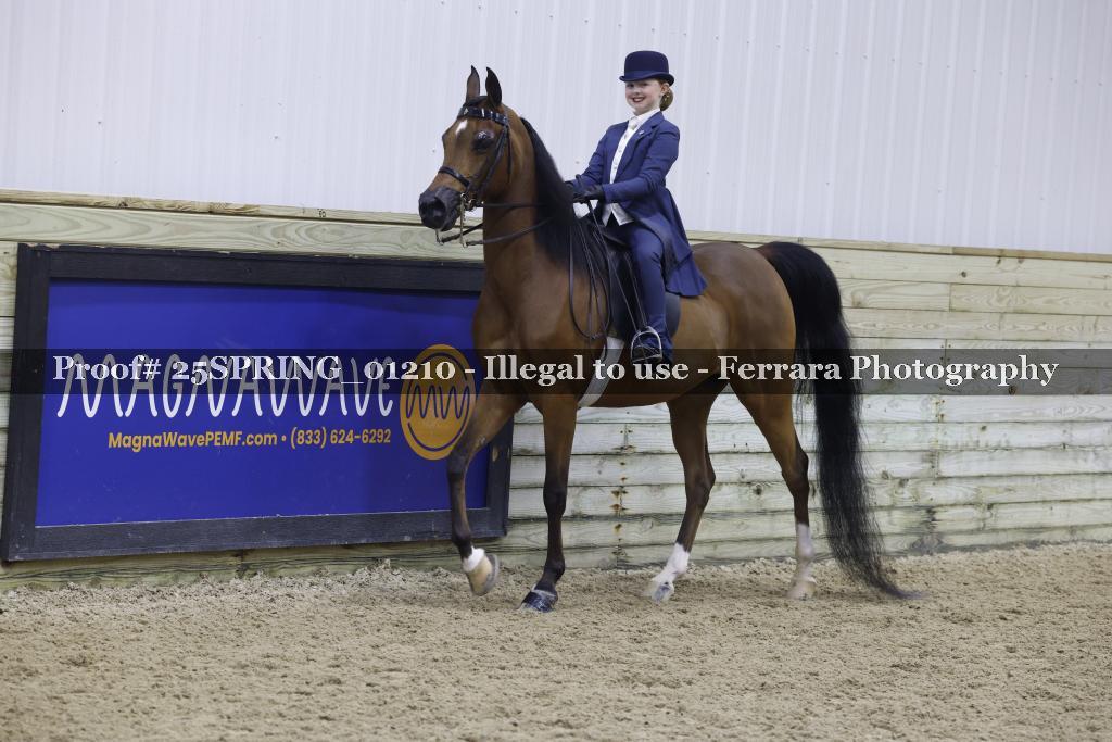 Proof 25SPRING_01210