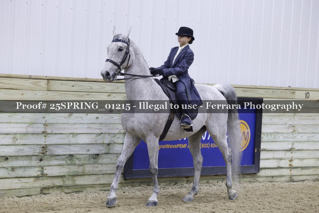 Proof 25SPRING_01215