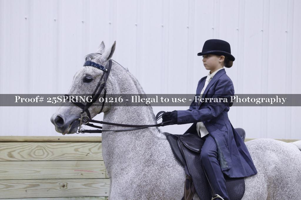 Proof 25SPRING_01216
