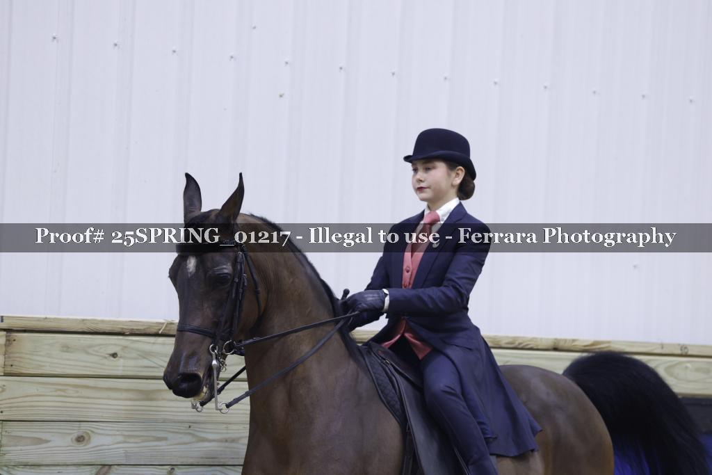 Proof 25SPRING_01217
