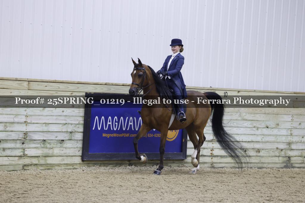 Proof 25SPRING_01219
