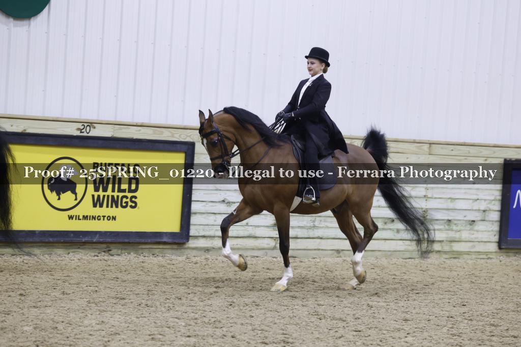 Proof 25SPRING_01220