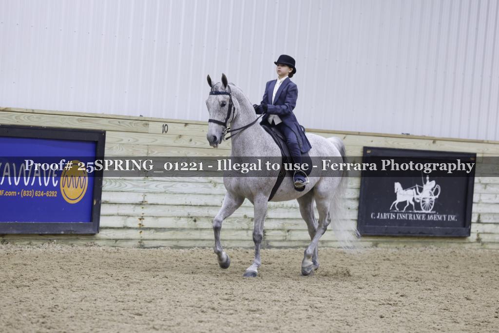 Proof 25SPRING_01221