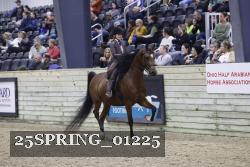 25SPRING_01225 proof