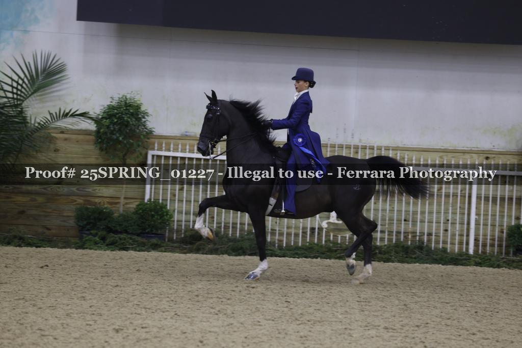 Proof 25SPRING_01227