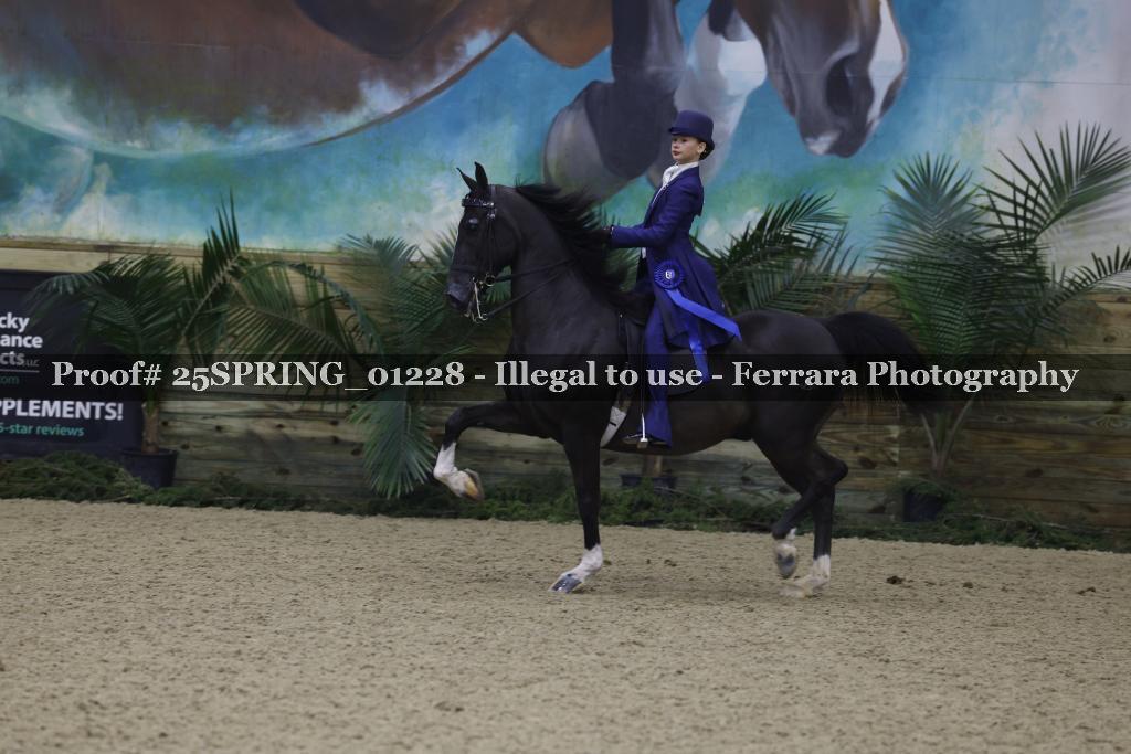 Proof 25SPRING_01228