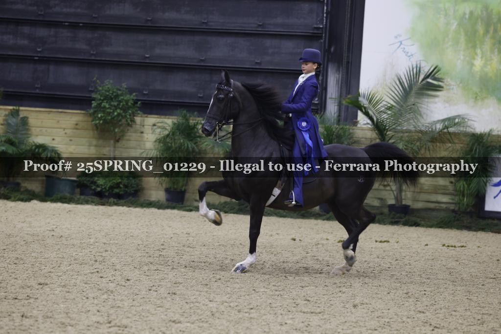 Proof 25SPRING_01229
