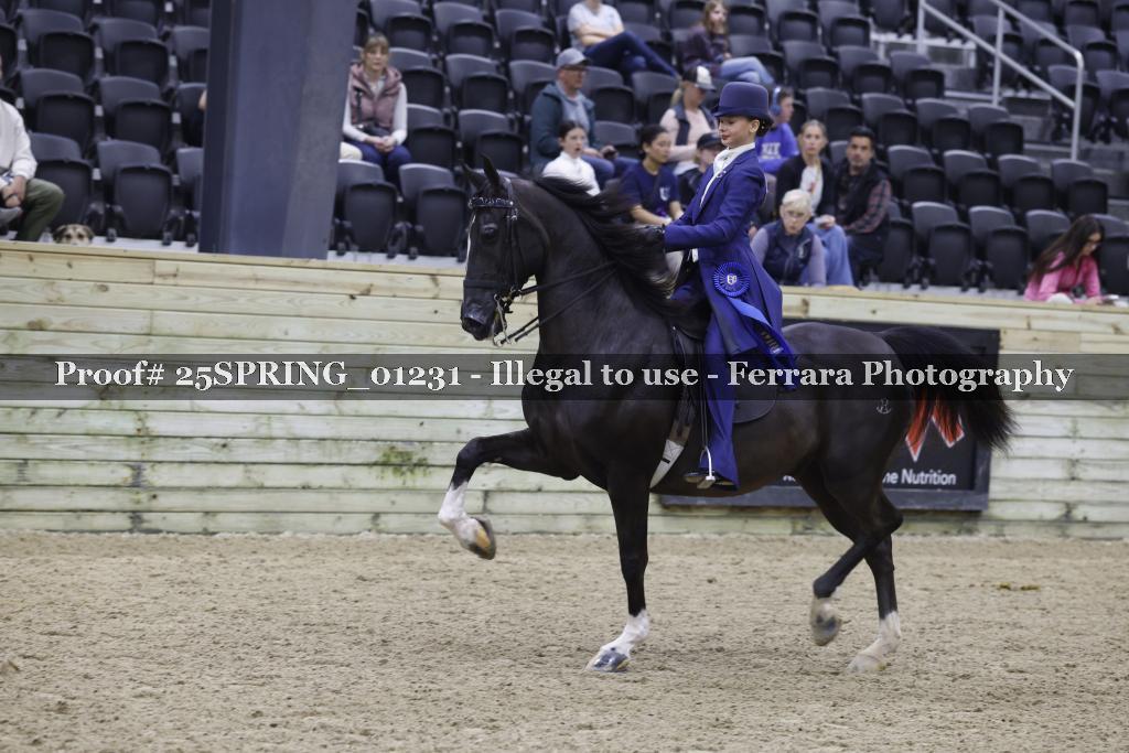 Proof 25SPRING_01231