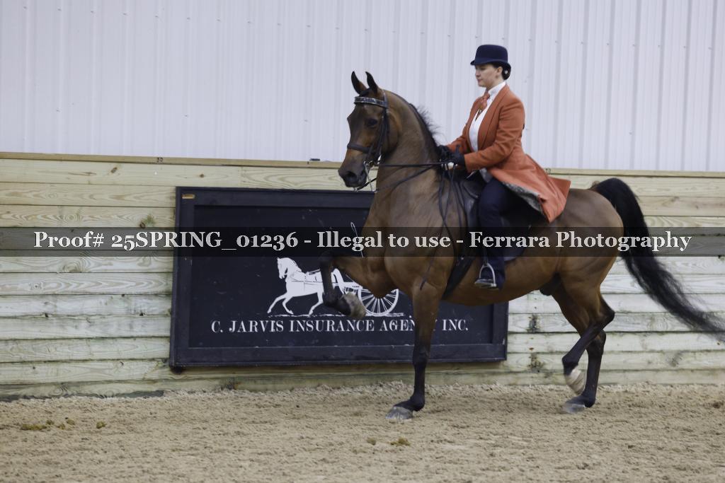 Proof 25SPRING_01236