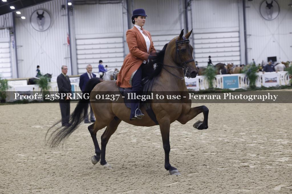 Proof 25SPRING_01237
