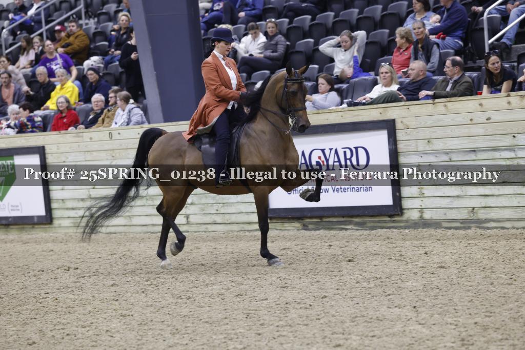 Proof 25SPRING_01238