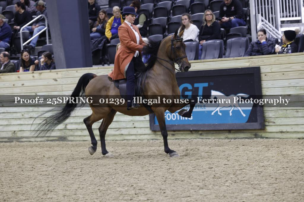 Proof 25SPRING_01239