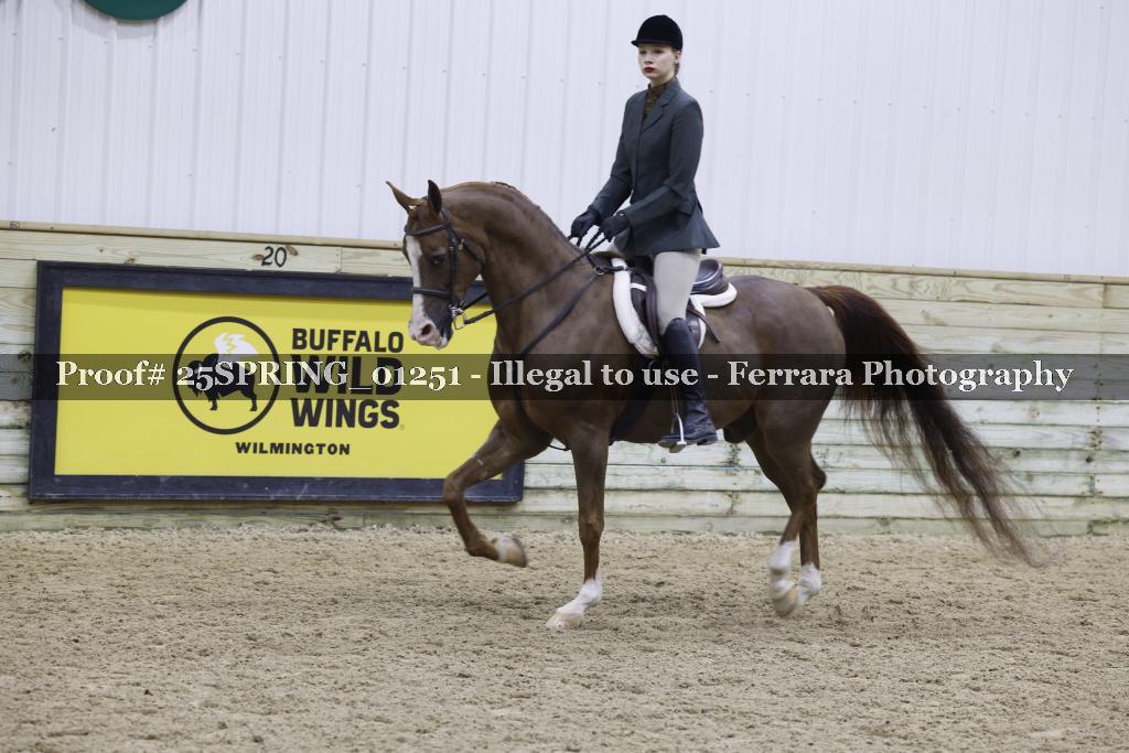 Proof 25SPRING_01251