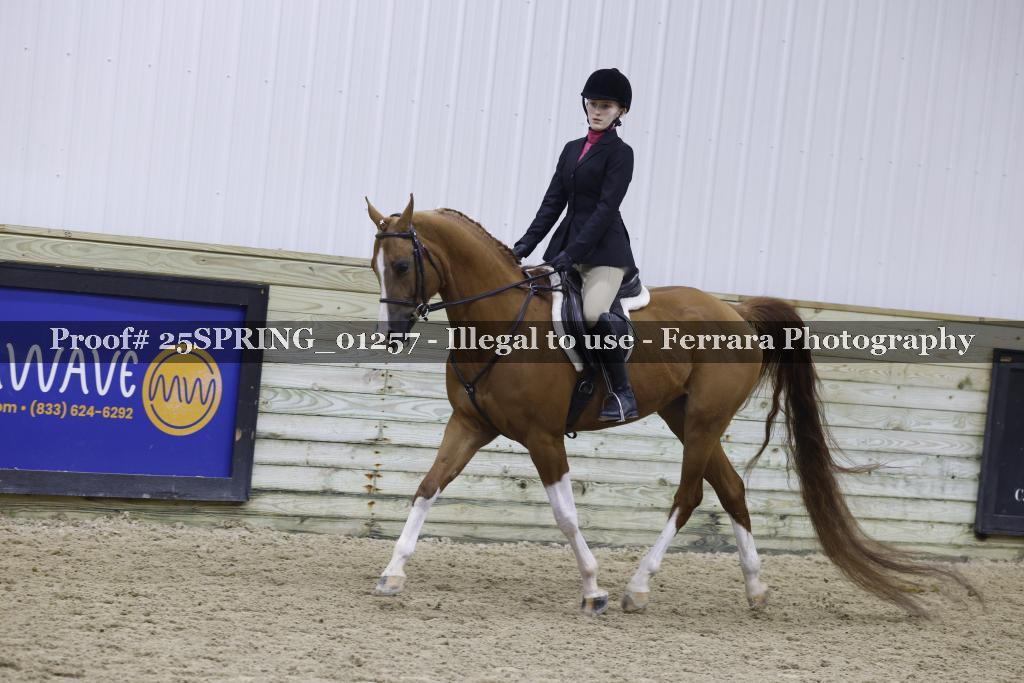 Proof 25SPRING_01257