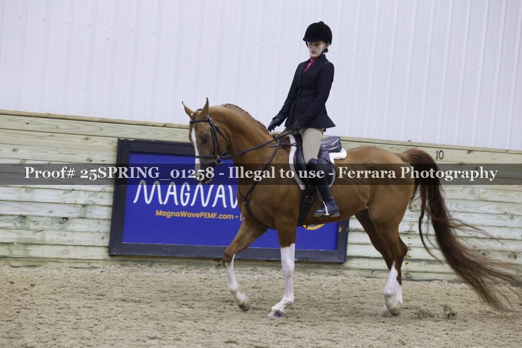 Proof 25SPRING_01258