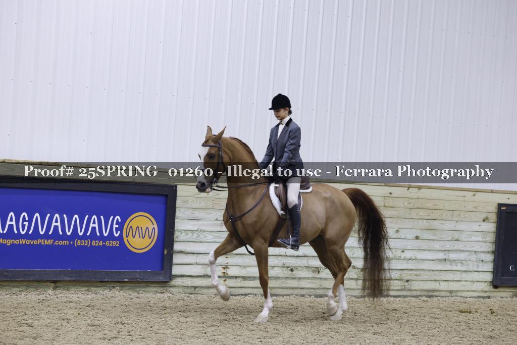Proof 25SPRING_01260