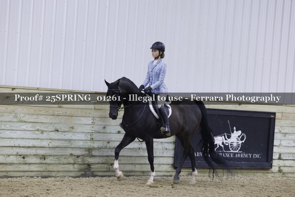 Proof 25SPRING_01261