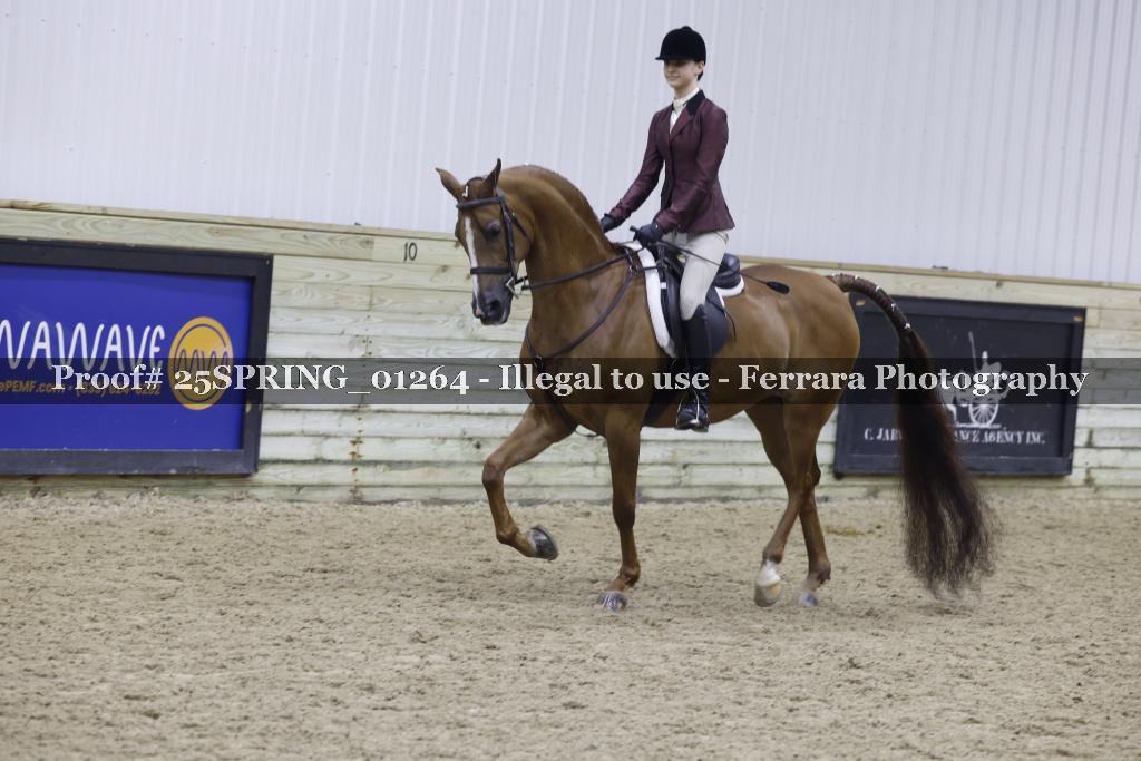 Proof 25SPRING_01264