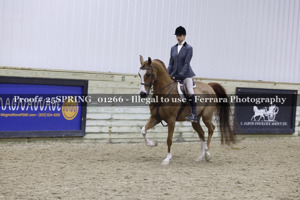 Proof 25SPRING_01266