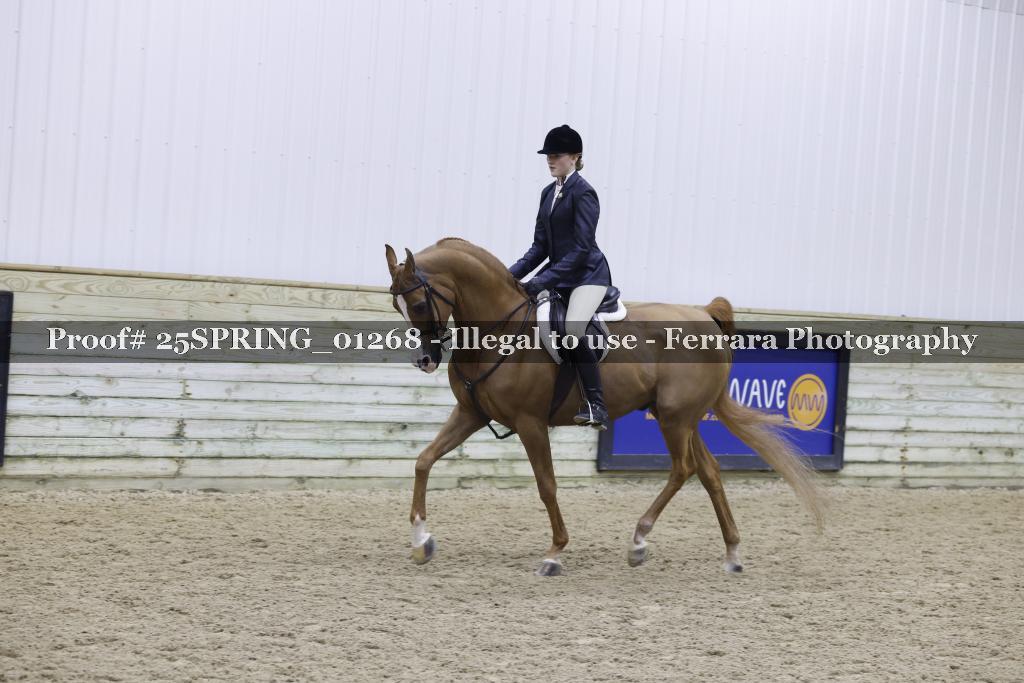 Proof 25SPRING_01268