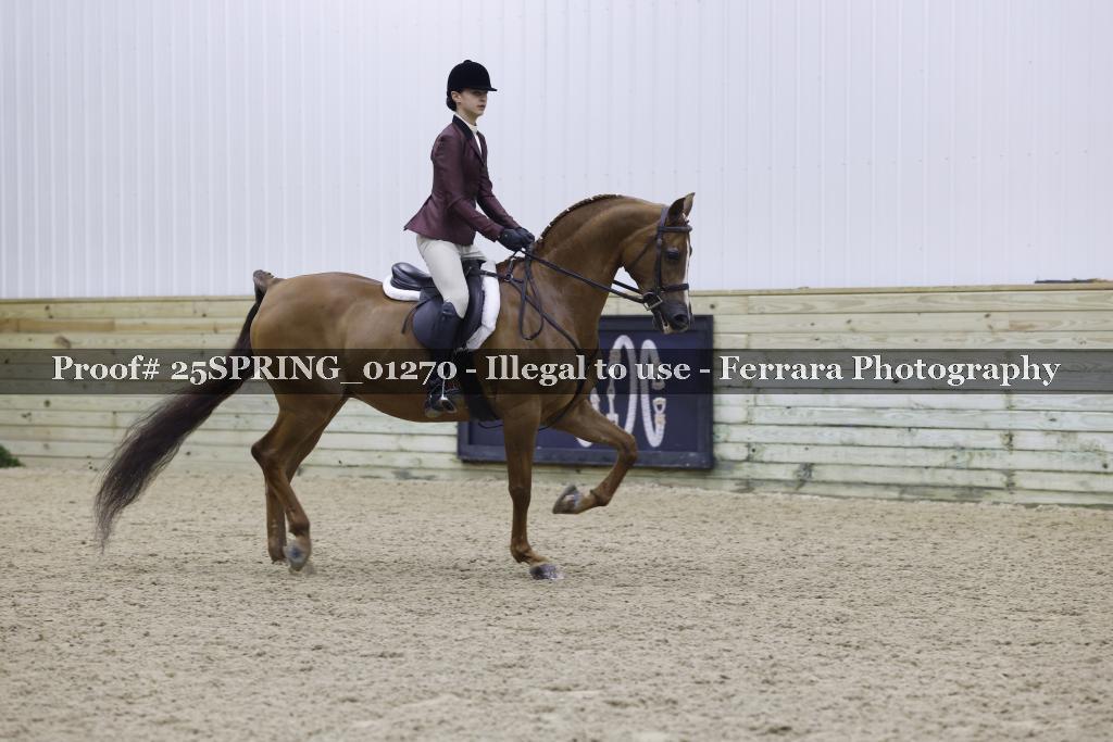 Proof 25SPRING_01270