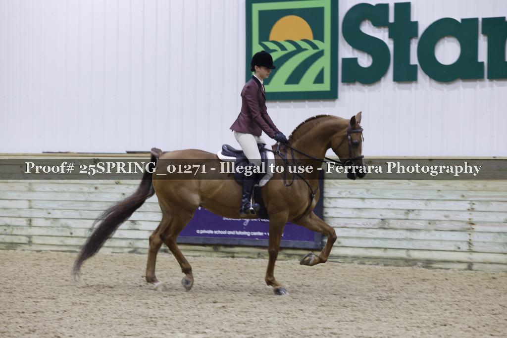 Proof 25SPRING_01271